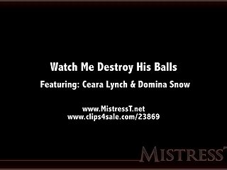 Ballbusting Mistress T Watch Destroy